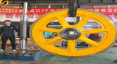 廠家直銷定制大模數蝸輪蝸桿副