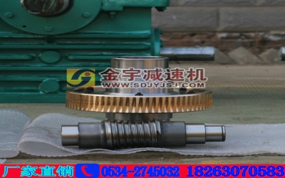 包絡環面蝸桿傳動的發展及現狀