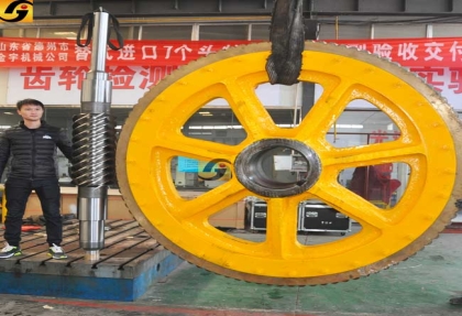 廠家直銷定制大模數蝸輪蝸桿副