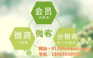 龍海制造，網加賦能 技術推廣如何驅動工廠網絡營銷新篇章